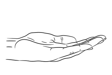 Human female hand palm up, supporting or asking for a gesture from the contour black brush lines on white of vector illustration