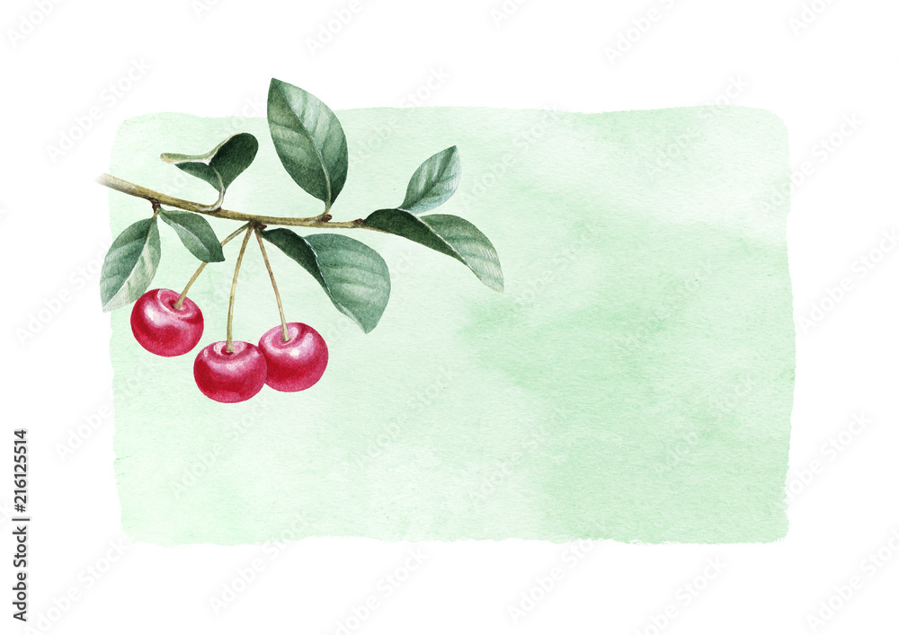 Wall mural watercolor illustration of cherry