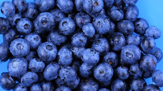 Fresh healthy snack, wet Blueberry, water drops falling from top, slow motion