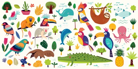 Foto op Plexiglas Funy and cute Brazil animals and birds © moleskostudio