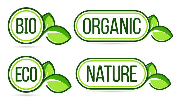 Green organic products labels. Organic, natural, bio, eco vector labels.