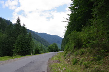 Fototapeta premium road in the mountains among green trees