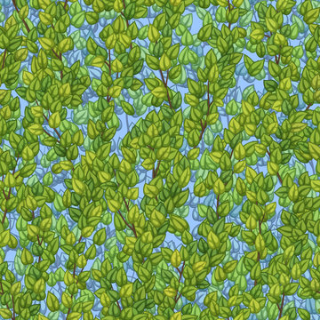Бесшовная векторная текстура зеленой древесной листвы с ветками на фоне неба, направленными вверх © yulicon