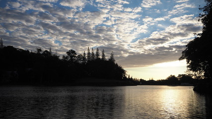 Naklejka premium Sunrise over the lake in the forest.