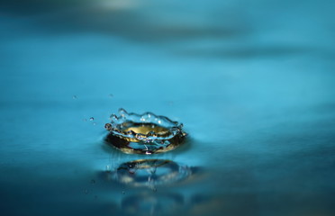 beautiful fresh water drops in fresh nature