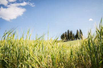 Val D'Orcia, Tuscany