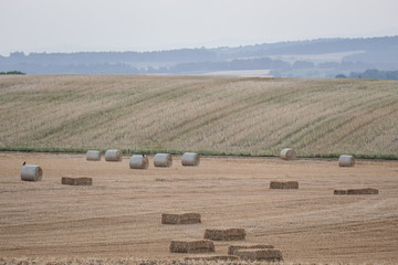 Heuballen bei Sonnenuntergang