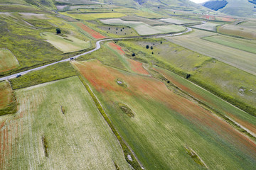 Flying on Castelluccio di Norcia, between ruins and bloom of flowers
