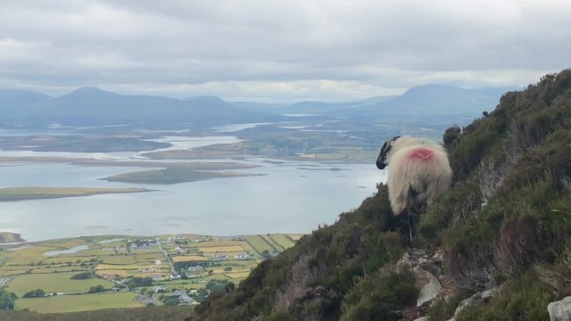 View from Croagh Patrick mountain in Co. Mayo, Westport, West coast of Ireland, Atlantic ocean. Amazing scenic sea and mountain landscape with islands in cloudy day.