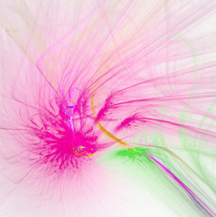 Obraz premium fractal on white
