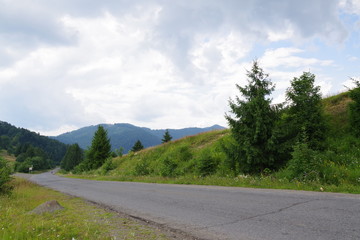 Fototapeta na wymiar road in the mountains among green trees
