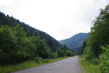 Naklejka premium road in the mountains among green trees