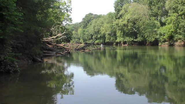 Georgia, Abbotts Bridge Park, A pan across the Chattahoochee River with trees and reflections