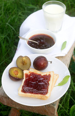 Toast with plum jam and milk and fresh plums on a green lawn background. Stylistics.
