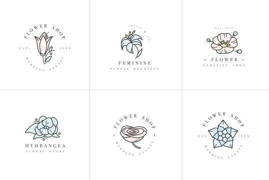 Vector feminine signs and logos, templates set. Floral Illustration-hydrangea, ranunculus, anemone and lily. Premium quality colorful emblems.