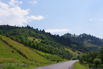 road in the mountains among green trees