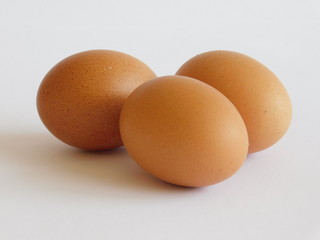 Huevos sobre fondo blanco.