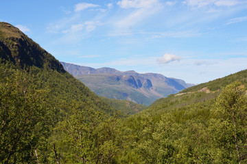 Naklejka premium Paysage norvégien