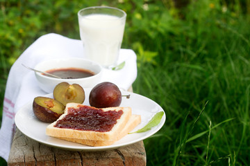 Toast with plum jam and milk and fresh plums on a green lawn background. Stylistics.
