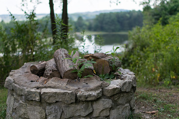 Fototapeta premium Camp Firewood