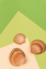 Colorful holiday background with shells