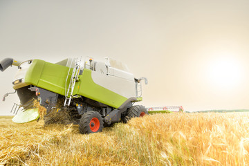 Obraz premium moissonneuse en action au coucher du soleil