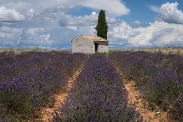 Small house in Provence, France