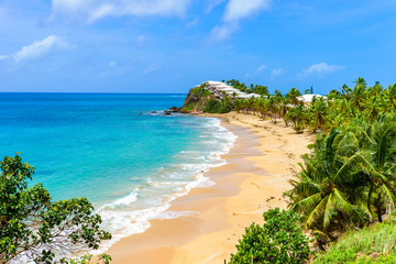 Paradise beach at Morris Bay, Tropical caribbean island Antigua - obrazy, fototapety, plakaty