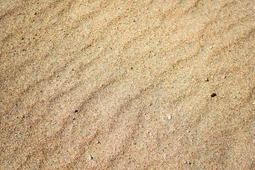Fototapeta na wymiar Sand on the beach. 