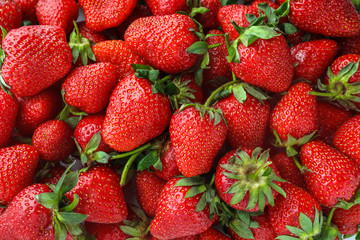 Sweet ripe strawberries as background
