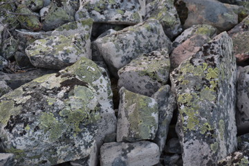 Pierres de la vallée de Pyhä Luosto (Finlande)