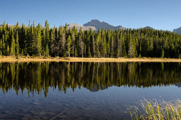 Pine Trees Reflect in Lake Horizontal