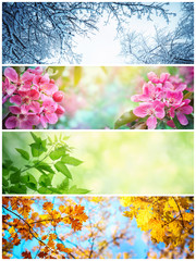 Four seasons. A pictures that shows four different pictures representing the four seasons: winter,...
