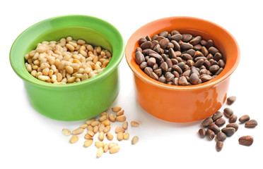 Bowls with pine nuts on white background