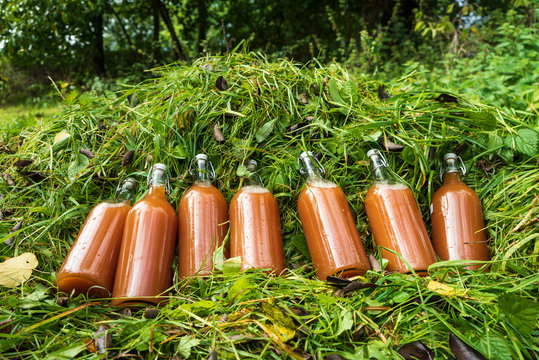 Frischer Most in Saftflaschen auf grünem Grashaufen