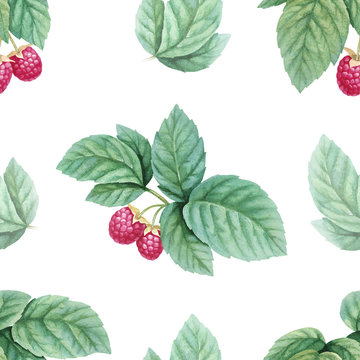 Watercolor illustration of raspberries. Seamless pattern