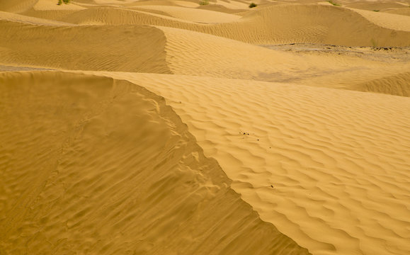 Sand desert, Tunisia