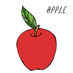 Red Apple and Leaf. Fresh Fruit. Nutrition Diet. Autumn or Fall Vegetable Harvest Collection. Realistic Hand Drawn High Quality Vector Illustration. Doodle Style.