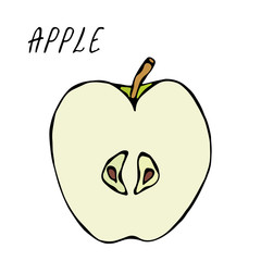 Half of Green Apple and Leaf. Fresh Fruit. Nutrition Diet. Autumn or Fall Vegetable Harvest Collection. Realistic Hand Drawn High Quality Vector Illustration. Doodle Style.