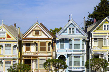 Painted Ladies