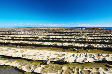 Washboard of Demon in Aoshima, Miyazaki, Japan