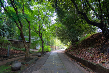 宇治 さわらびの道