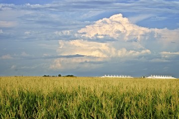 Obraz premium thunderstorm approaching