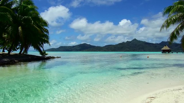 travel, seascape and nature concept - tropical beach with palm trees and bungalows in french polynesia