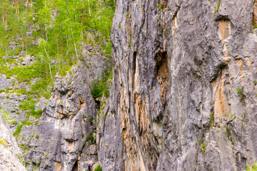 View from the top of the Altai mountains in Siberia with green plants and trees