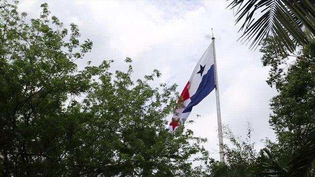 Panamanian Flag waving against cloudy sky and trees