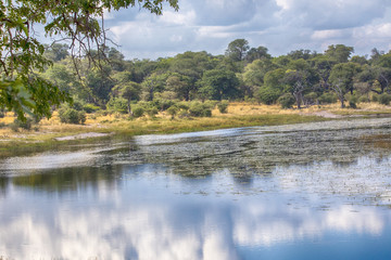 Fototapeta na wymiar Lake Horseshoe, Bwabwata, Botswana