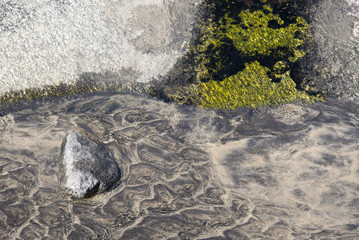 Algen, Moos und Steine / Kvalvika - Lofoten