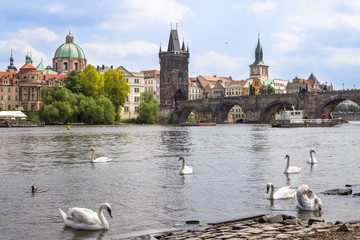 View to the Charles Bridge and St. Nikolaus Church in Prague