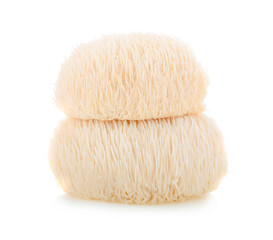 Lion mane mushroom isolated on white background © wealthy lady